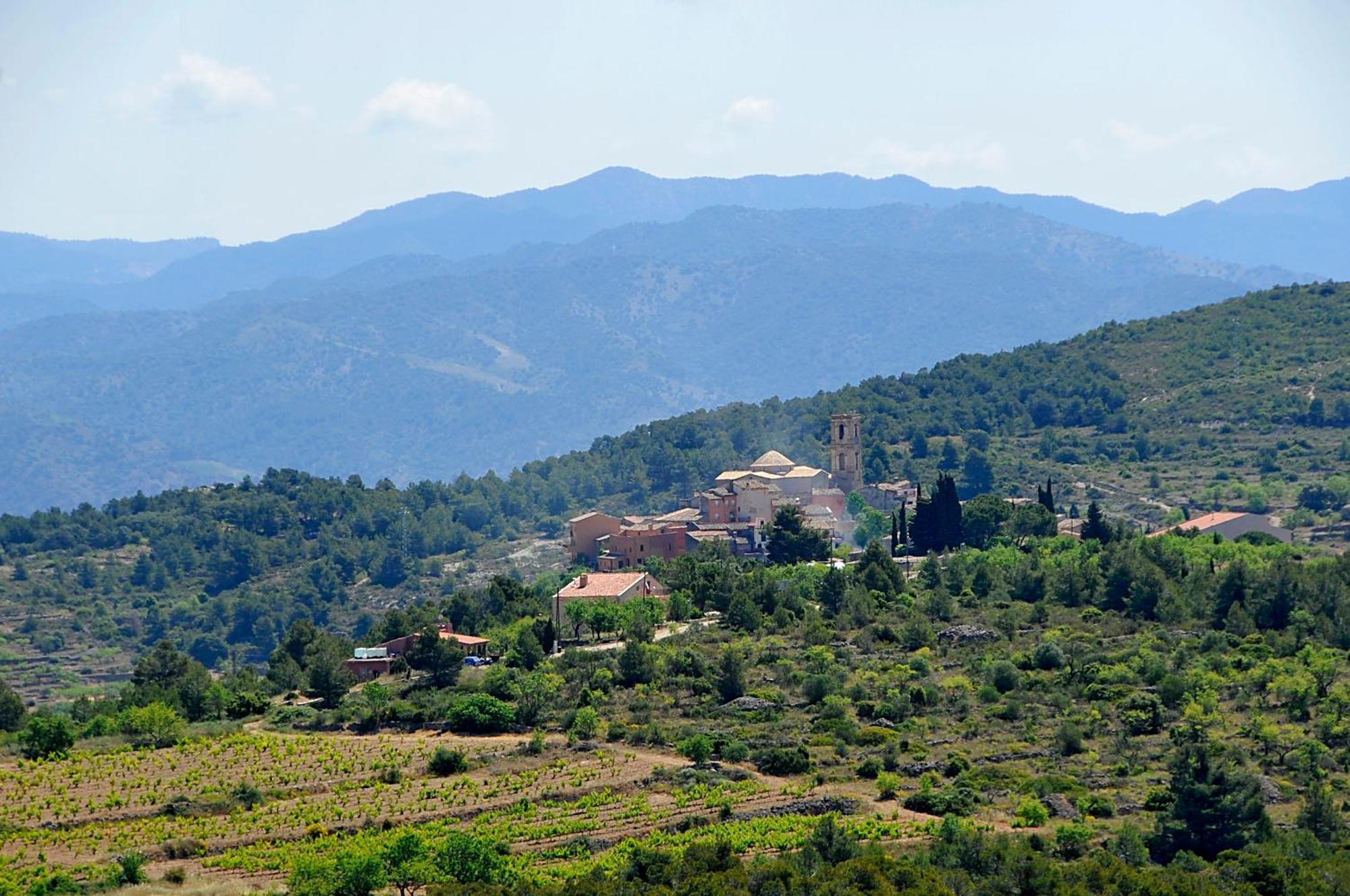 Eremita Villa La Figuera Bagian luar foto